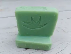 Kaktus und Aloe Seife