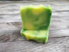 Dusch- und Handseife / Ginkgo küsst Limette